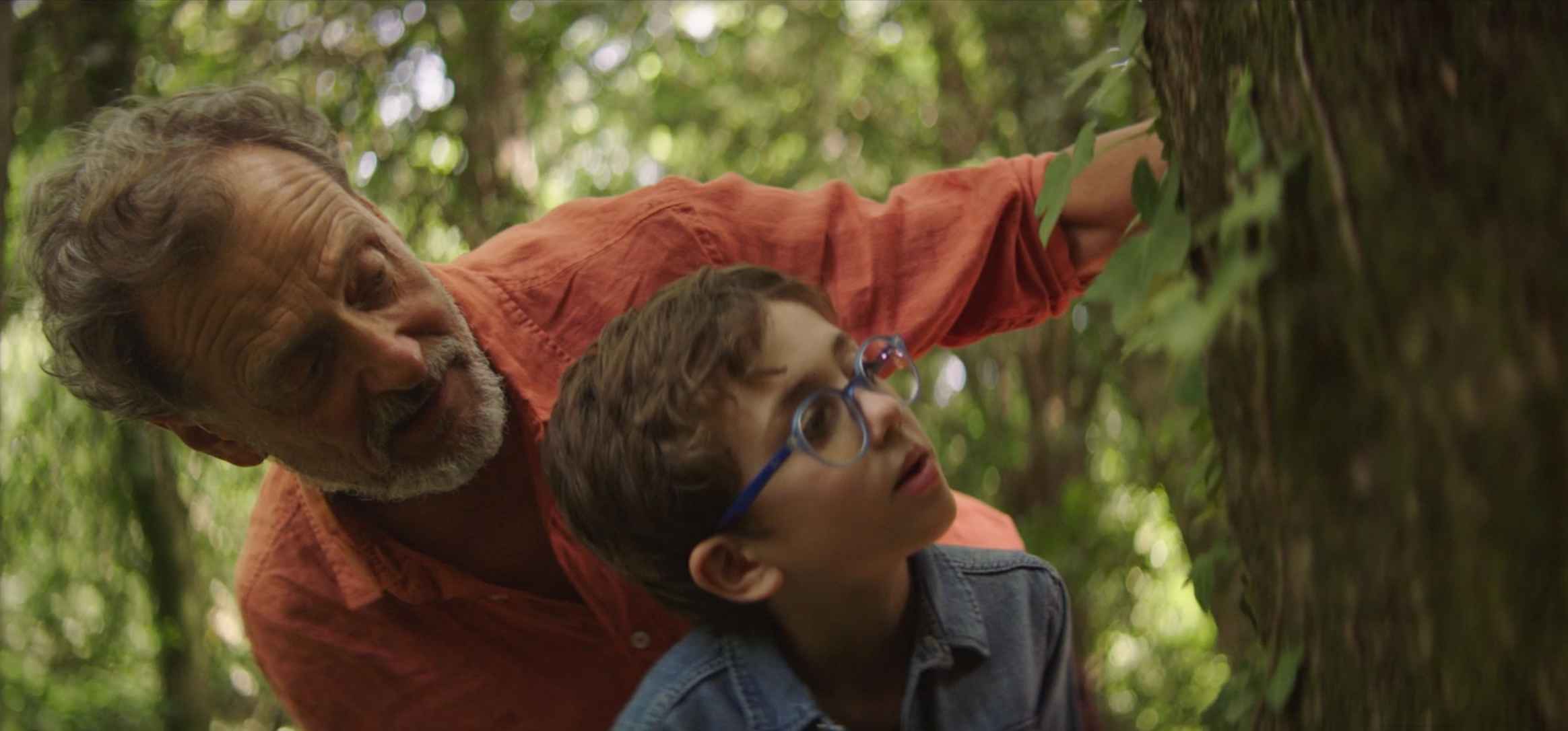 Écouter Voir广告片：Nature