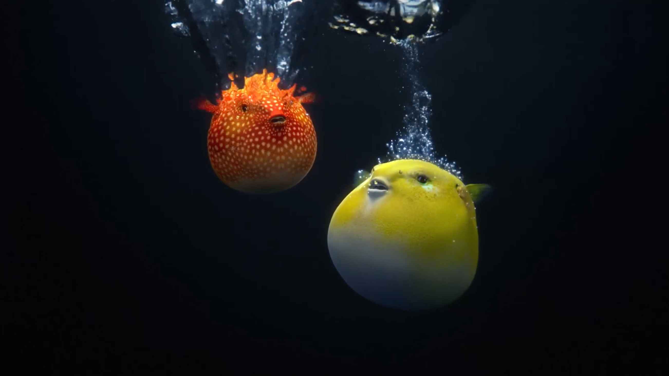 Dolby - Puffer