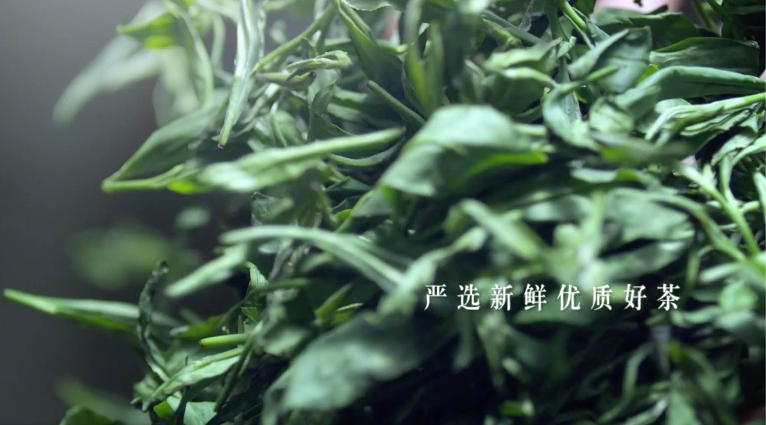 康师傅广告片