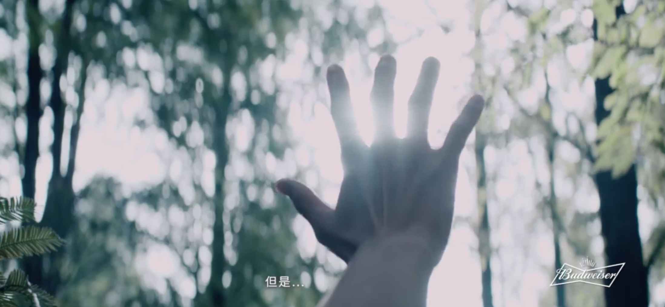 百威啤酒宣传片-爱不止一种 爱只有一种