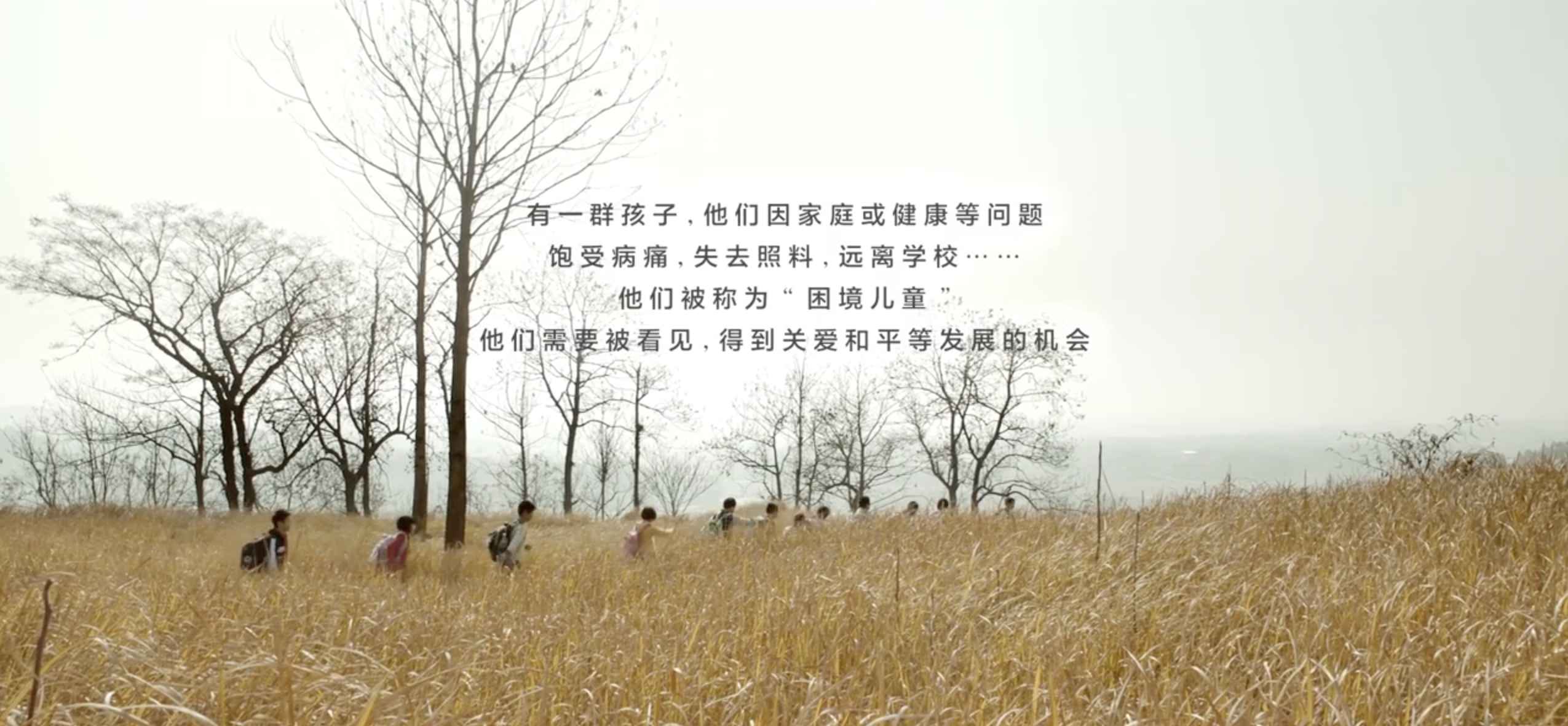 支付宝：蚂蚁金服公益片