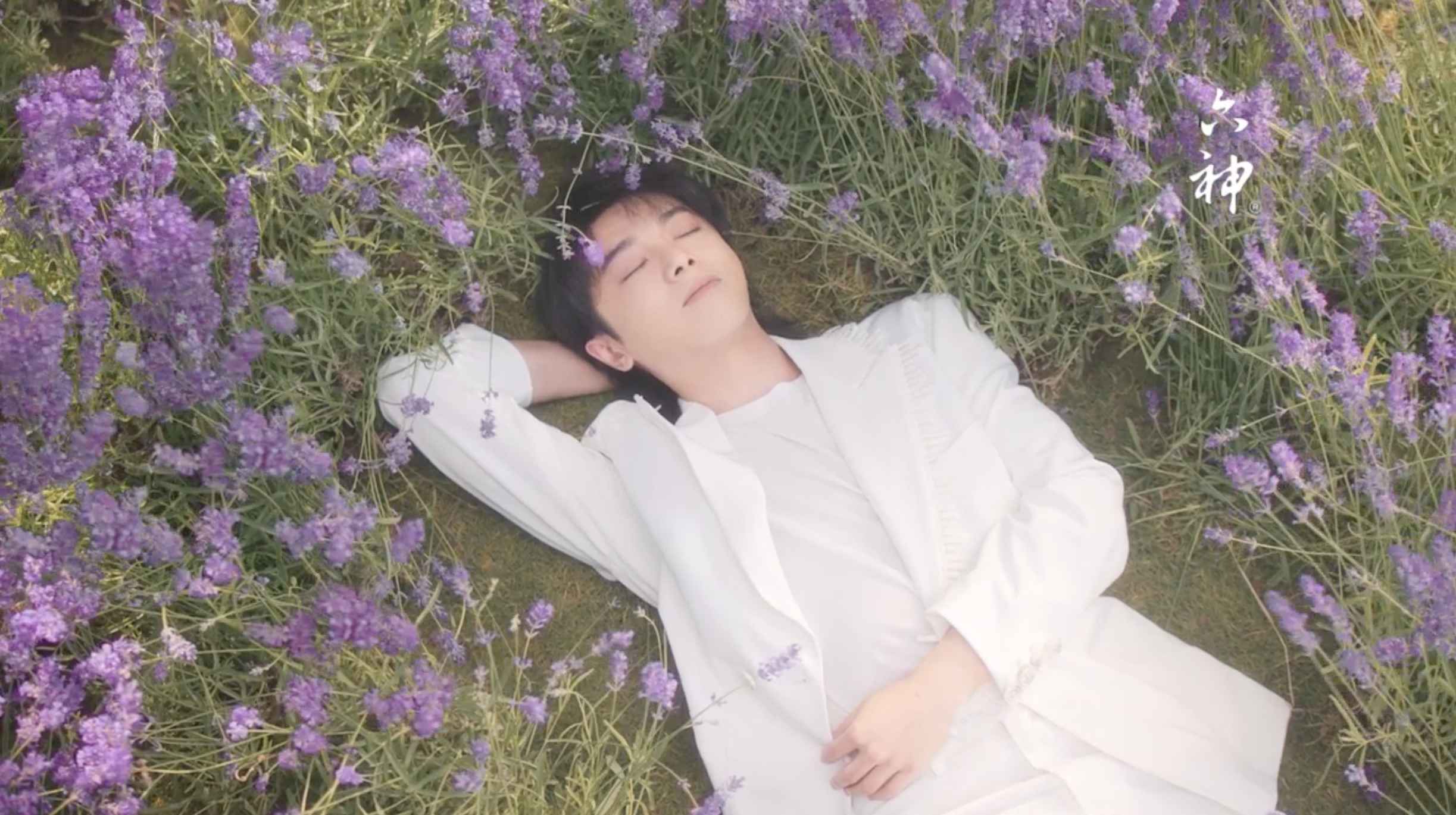 六神：六神植萃香芬沐浴露系列 - 华晨宇