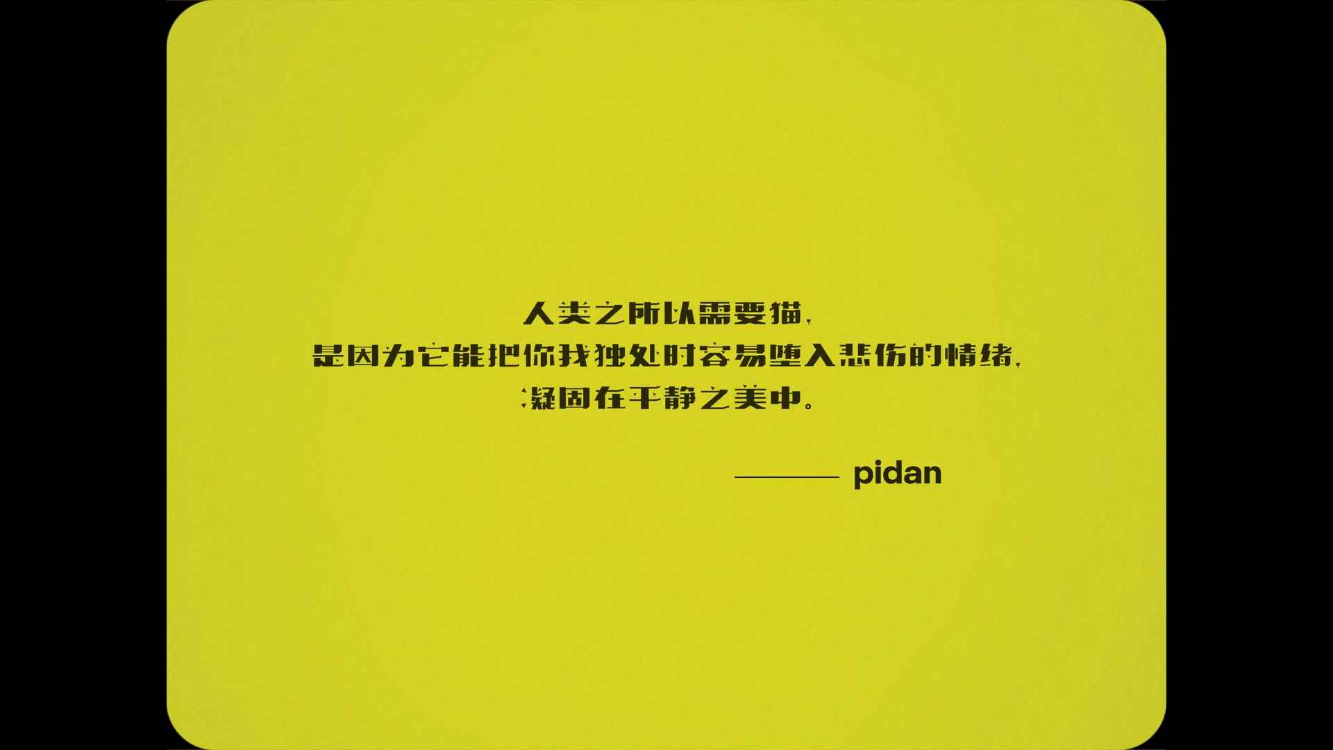 pidan的最新拍摄的品牌广告片是如何表达「平静之美」的？是如何为新时代人宠关系写下注解？