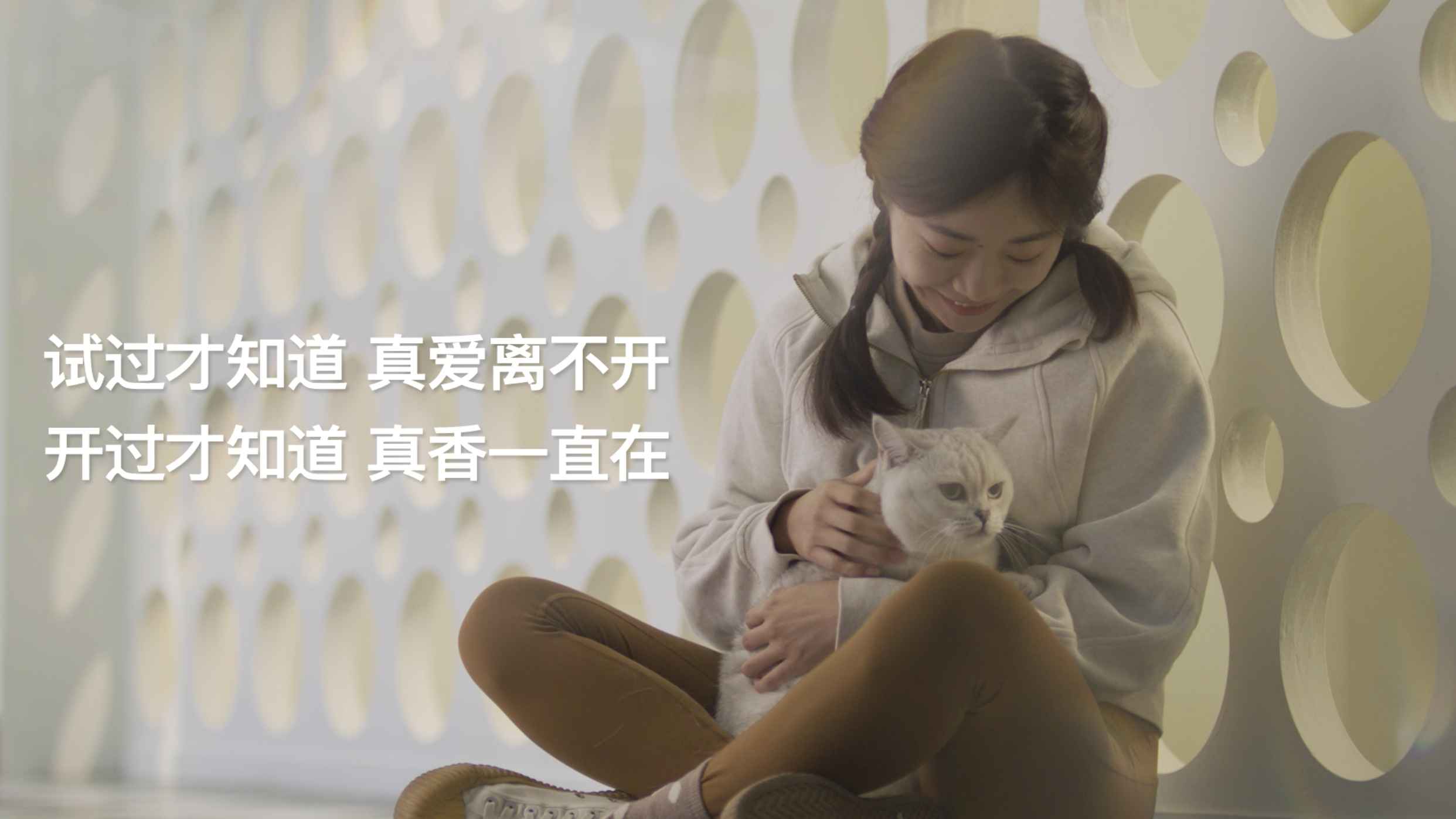奥迪汽车广告片：投喂篇