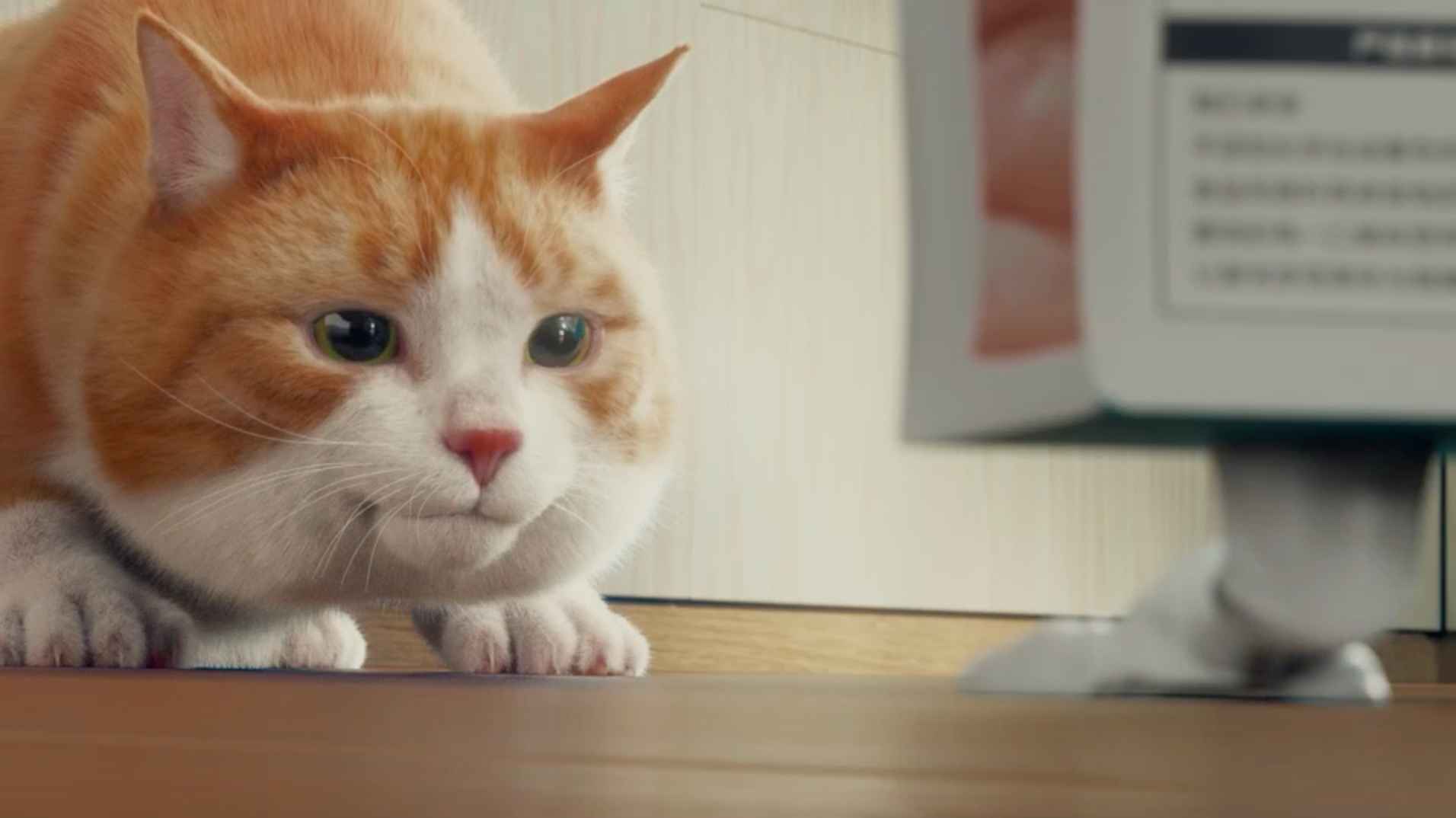 卫仕X90全价鲜肉猫粮动画广告片